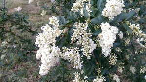 Медитация прощения. ( субтитры)