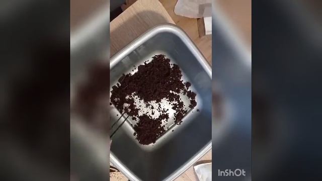 Купили пиявки на www.pijavki.com, как разобрать пиявки из торфа, промывка, хранение.