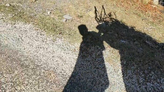 Keçi Besleyen Teyzenin Hayat Mücadelesi-Keçi Bakımı ve Süt Sağımı смотреть онлайн