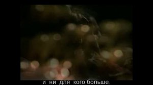 Amor gitano (сериал "Кассандра", Beyonce & Alejandro Fernández)