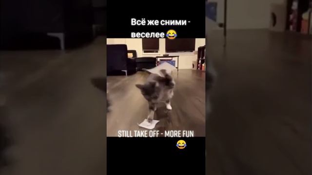 ВМЕСТЕ ВЕСЕЛЕЕ!
