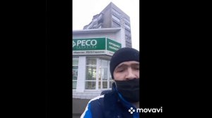 Осаго как оформить договор