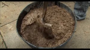 Бегония клубневая. Почва, субстрат  для клубневых, делаем сами, а так же  чем пролить!