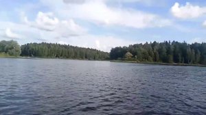 Лодка Catfish 290 и Tarpon T5S