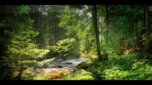 Умар силдинский красивое чтение Корана