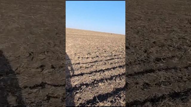 VID-20231002-WA0000~2.mp4 смотреть онлайн