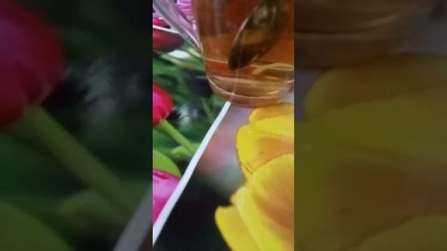 Призраки дома смотреть онлайн