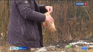 Штраф в 5 тысяч рублей заплатит дворник, поднявший метлу на женщину с собакой