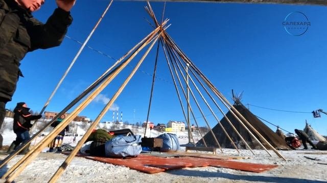 День оленевода 2023. Собираем чум