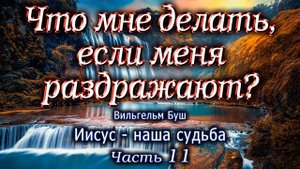 Что мне делать, если меня раздражают? Часть 11. Иисус - наша судьба. Вильгельм Буш