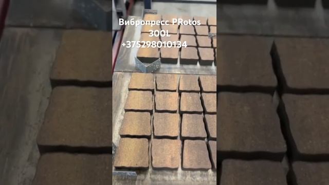 Вибропресс PRotos 300L плитка колормикс #вибропресс #производствотротуарнойплитки #тротуарнаяплитка