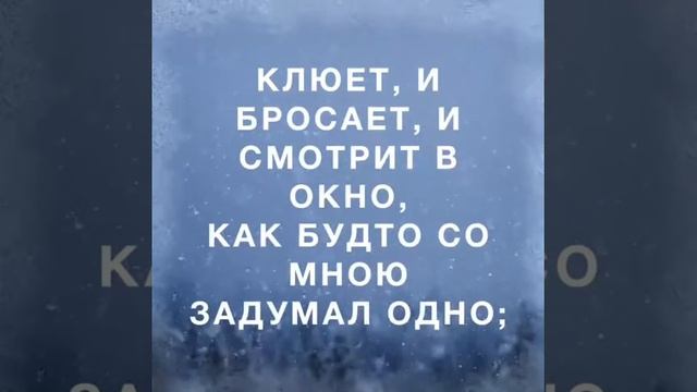 Узник А.Пушкин смотреть онлайн