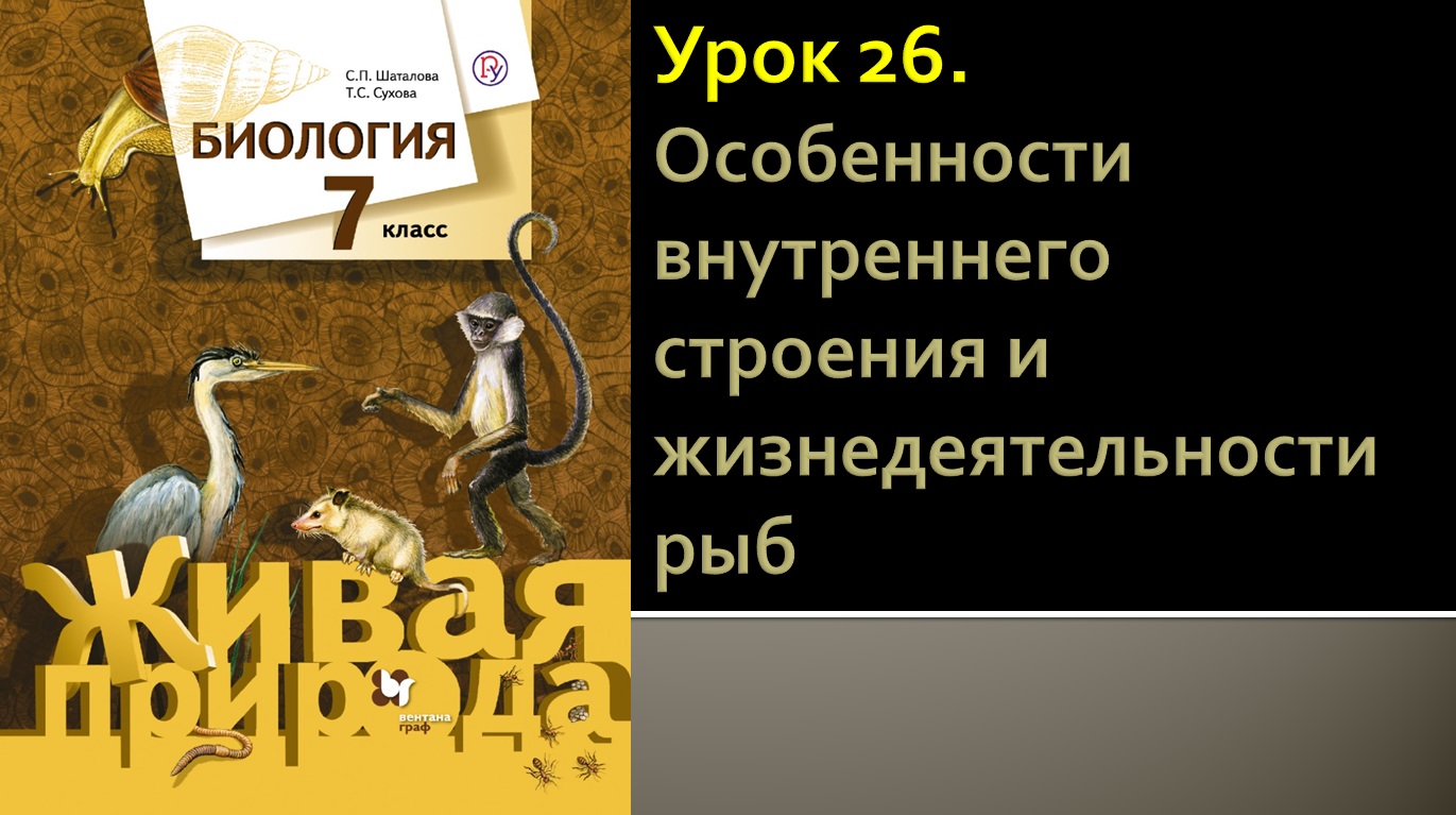 Урок 26. Особенности внутреннего строения и жизнедеятельности рыб
