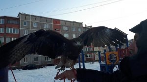 Бардак в Абашево Новокузнецка.