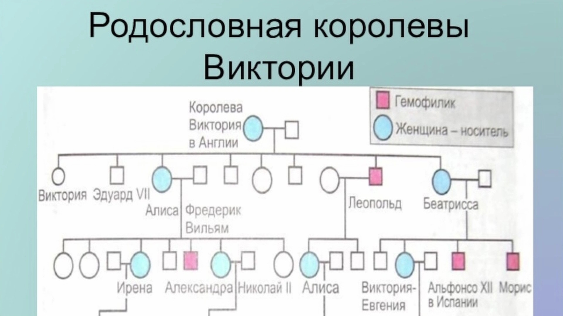 Древо даттонов
