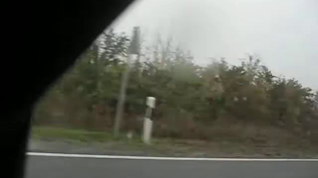 Леса, поля, дорога... смотреть онлайн