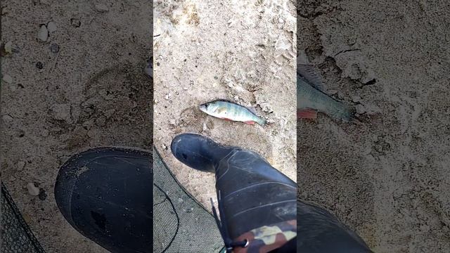 Ну и ладно. смотреть онлайн