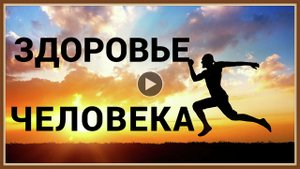ЗДОРОВЬЕ ЧЕЛОВЕКА - ОТ ЧЕГО ЗАВИСИТ