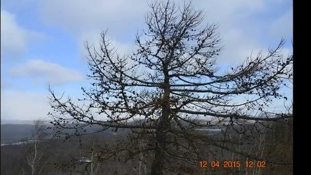 Быстрое путешествие на гору Круглая смотреть онлайн