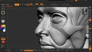 29_формы лица для создания #3d_персонажей