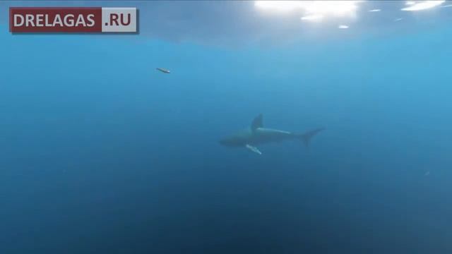 Обзор компьютерной игры Stranded Deep смотреть онлайн