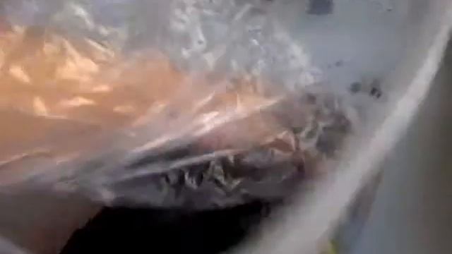 Как менять наполнитель улиткам смотреть онлайн