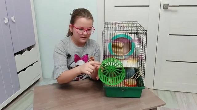 Не покупай колесо для хомяка пока не посмотрел