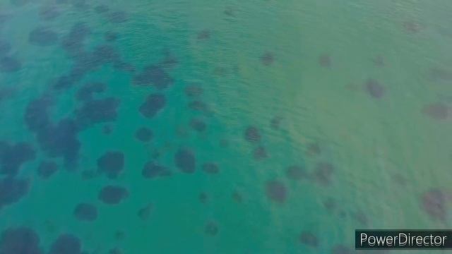 Пролёт Dji mini se / Посёлок Ольга /Приморский край смотреть онлайн