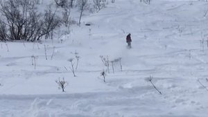 Хакасия, поселок Приисковый. Фрирайд покатушки. Freeride