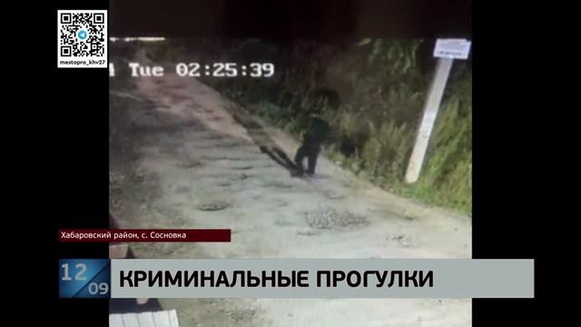 Домушник со стажем: схвачен 35-летний вор, который обчистил два домовладения на 800 тысяч рублей