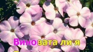 караоке виновата ли я