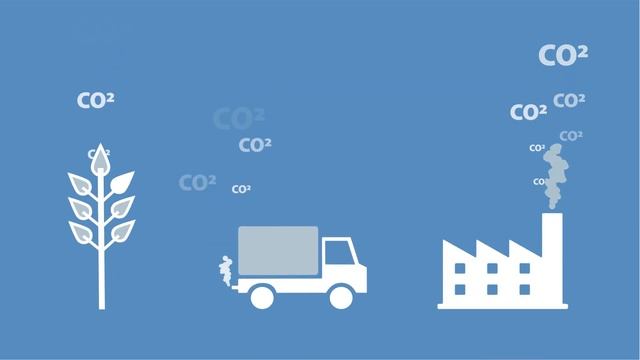 Waarom is Marmoleum CO2 neutraal?  Forbo Flooring NL