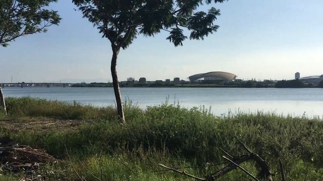 Набережная реки. Дананг. Вьетнам. смотреть онлайн