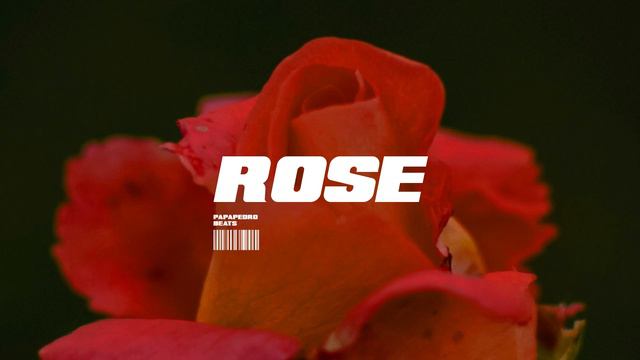SOLD Funk x Soul x RB Type Beat - ROSE  Neo Soul Disco Pop Groovy House Instrumental 2021