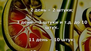 Как вывести песок и камни из почек по рецепту Сибирской Целительницы