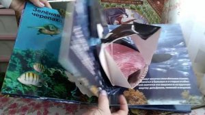 Книга панорама "живая книга океана"