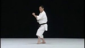 Jyuroku   Shito Ryu Karate Do Kata & Bunkai