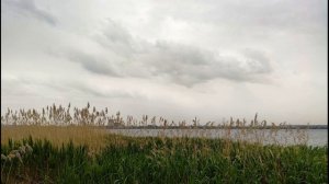 Гомер  Одиссея  Песнь первая  #стихиогероях #древнегреческийэпос