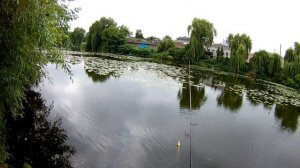 Пробую ловить на резиновую лягушку и ПоКлЕвКа!