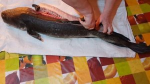 Разделка налима