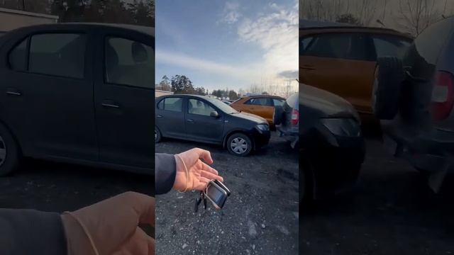 ЗАГРУЗКА ДВУХ НИВ! Бронто и легенд отправляются в г.Москва! Заказать ...