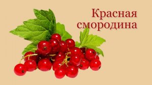 Карточки Домана - ЯГОДЫ