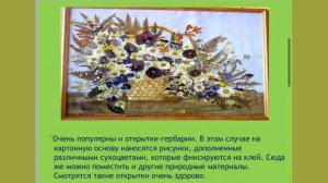 Работа с гербарием