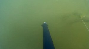 Подводная охота на Заинском Водохранилище