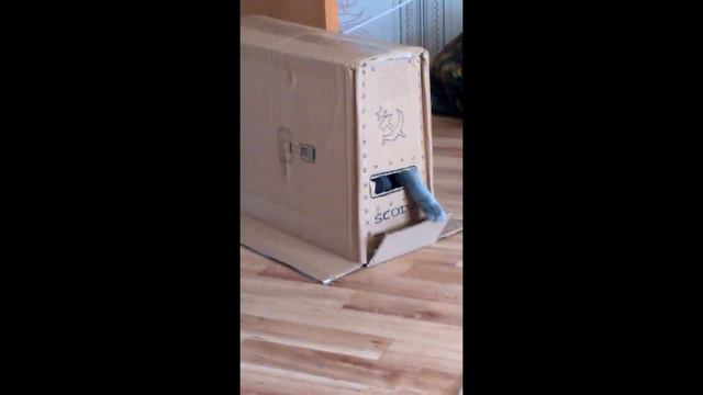 #на поле танки грохотали (гр. Чиж & K) смотреть онлайн