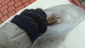 Зимнее хранение черенков винограда в подвале