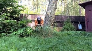 Спилил бензопилой опасную березу на даче с применением КВМ