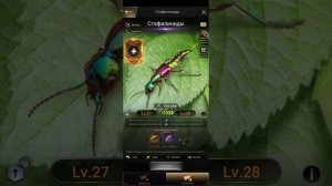 the ants underground kingdom как поднять уровень дикого существа с 19 на 20