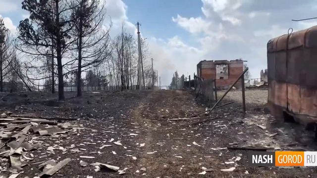 Последствия лесного пожара в Тюменском районе - 25 дачных домов сгорело в СНТ "Солнышко". смотреть онлайн