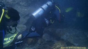 Дайвинг Вьетнам Нячанг